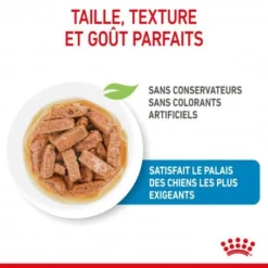 ROYAL CANIN Dog Puppy Maxi Sachet Repas -Materiel Soldes dog puppy maxi sachet repas 3
