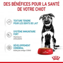 ROYAL CANIN Dog Puppy Maxi Sachet Repas -Materiel Soldes dog puppy maxi sachet repas 4