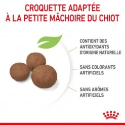 ROYAL CANIN Dog Puppy Medium -Materiel Soldes dog puppy medium 2