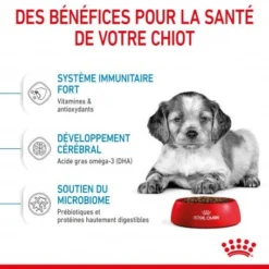 ROYAL CANIN Dog Puppy Medium -Materiel Soldes dog puppy medium 4