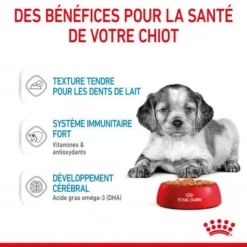 ROYAL CANIN Dog Puppy Medium Sachet Repas 13 ROYAL CANIN Dog Puppy Medium Sachet Repas -Materiel Soldes dog puppy medium sachet repas 4