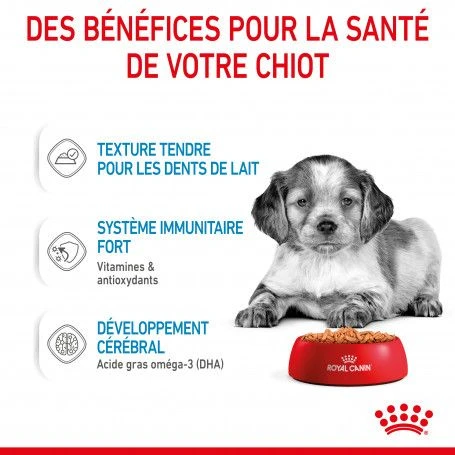 ROYAL CANIN Dog Puppy Medium Sachet Repas 5 ROYAL CANIN Dog Puppy Medium Sachet Repas – Image 5