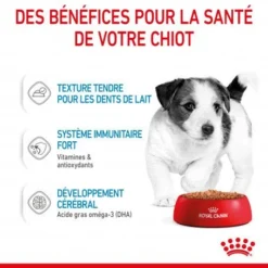 ROYAL CANIN Dog Puppy Mini Sachet Repas -Materiel Soldes dog puppy mini sachet repas 4