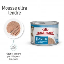 ROYAL CANIN Dog Starter Mother & Babydog Mousse Boîte -Materiel Soldes dog starter mother babycat mousse boite 1