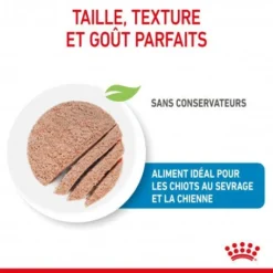 ROYAL CANIN Dog Starter Mother & Babydog Mousse Boîte -Materiel Soldes dog starter mother babycat mousse boite 2