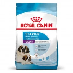ROYAL CANIN Dog Starter Mother & Babydog Giant