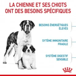 ROYAL CANIN Dog Starter Mother & Babydog Giant 11 ROYAL CANIN Dog Starter Mother & Babydog Giant -Materiel Soldes dog starter mother babydog giant 3