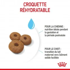 ROYAL CANIN Dog Starter Mother & Babydog Maxi -Materiel Soldes dog starter mother babydog maxi 2