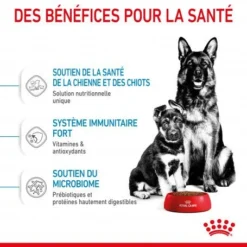 ROYAL CANIN Dog Starter Mother & Babydog Maxi -Materiel Soldes dog starter mother babydog maxi 4