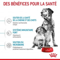 ROYAL CANIN Dog Starter Mother & Babydog Medium -Materiel Soldes dog starter mother babydog medium 4