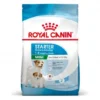 ROYAL CANIN Dog Starter Mother & Babydog Mini
