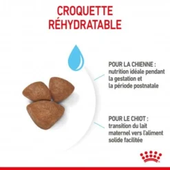 ROYAL CANIN Dog Starter Mother & Babydog Mini 10 ROYAL CANIN Dog Starter Mother & Babydog Mini -Materiel Soldes dog starter mother babydog mini 2