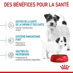 ROYAL CANIN Dog Starter Mother & Babydog Mini 12 ROYAL CANIN Dog Starter Mother & Babydog Mini -Materiel Soldes dog starter mother babydog mini 4