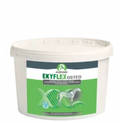 Ekyflex Repair Ostéo
