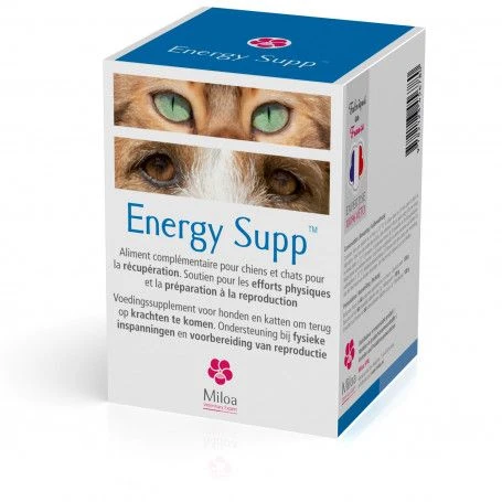 Energy Supp 1 Energy Supp
