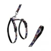 Materiel Ensemble Harnais / Laisse Chat Art Sportiv