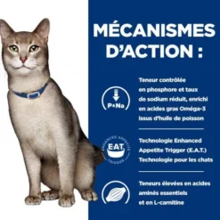 K/d Kidney Sachet Repas Pour Chat Boeuf -Materiel Soldes feline k d sachet repas boeuf 3