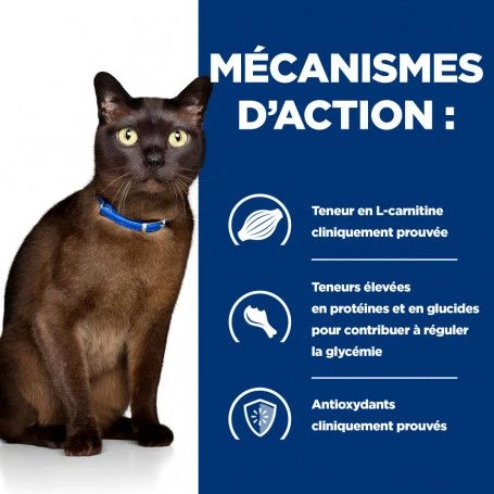 M/d Diabetes Croquettes Pour Chat Au Poulet 4 M/d Diabetes Croquettes Pour Chat Au Poulet – Image 4