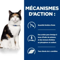 Y/d Thyroid Boîte Pour Chat -Materiel Soldes feline y d boite 4