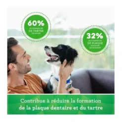 Mars Friandises Greenies Teenie Pour Chien -Materiel Soldes friandises greenies teenie pour chien 7