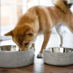 Materiel Gamelle 2 En 1 BeOneBreed Concrete