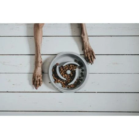 Materiel Gamelle Anti-glouton Hunter Atlanta 2 Materiel Gamelle Anti-glouton Hunter Atlanta – Image 2