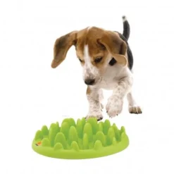 Materiel Gamelle Green Slow Dog Pour Chien