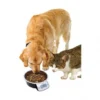 Materiel Gamelle Intelligente Pet Bowl