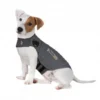 Materiel Gilet Anti-anxiété ThunderShirt Pour Chien