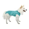 Materiel Gilet DogBody VetMedCare Pour Chien