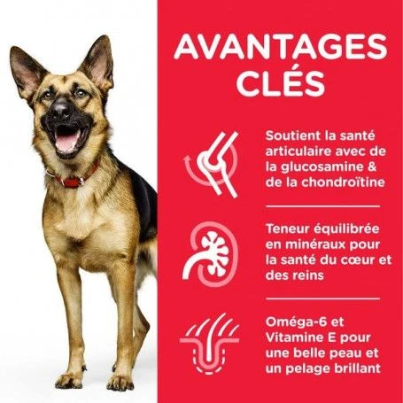 Canine Mature Adult 6+ Large Breed Poulet 2 Canine Mature Adult 6+ Large Breed Poulet – Image 2
