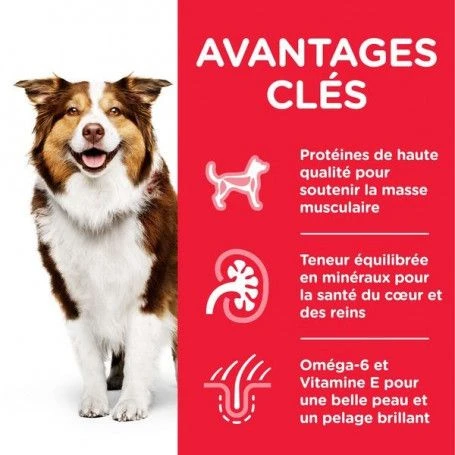 Canine Mature Adult 7+ Medium Poulet 2 Canine Mature Adult 7+ Medium Poulet – Image 2