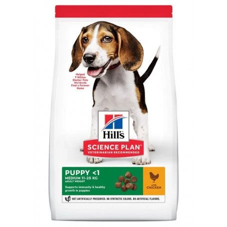 Puppy Medium Poulet Healthy Development 1 Puppy Medium Poulet Healthy Development