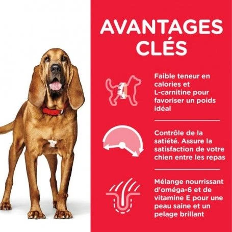 Canine Mature Adult 7+ Light Medium Poulet 2 Canine Mature Adult 7+ Light Medium Poulet – Image 2