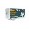 Hyaloral Chiot, Petites Et Moyennes Races