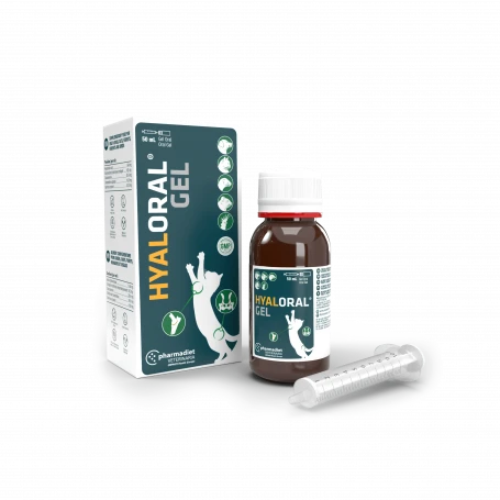 Gel Hyaloral 1 Gel Hyaloral