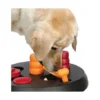 Materiel Jouet Chien éducatif : Flip Board