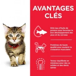 Kitten Pack Mixte Sachet Repas -Materiel Soldes kitten pack mixte sachet repas 3