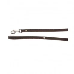 Materiel Laisse Cuir Doublé