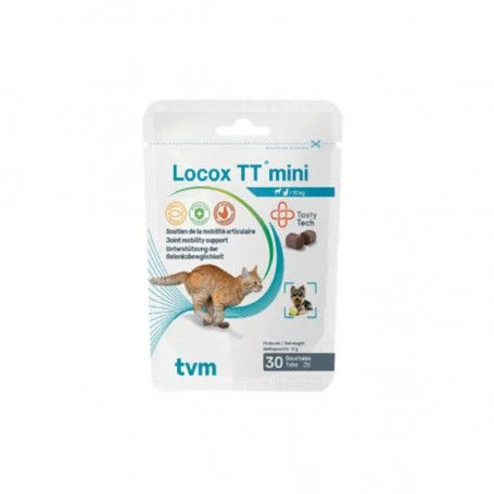 Locox TT Mini 1 Locox TT Mini