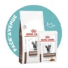 Pack'Avenue Royal Canin CAT GASTRO INTESTINAL Moderate Calorie Sac 4kg Avec 12 Sachets Repas
