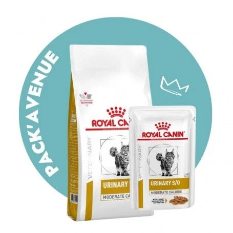 Pack'Avenue Royal Canin Cat Urinary S/O Moderate Calorie Sac 3,5kg Avec 12 Sachets Repas Morceaux 1 Pack'Avenue Royal Canin Cat Urinary S/O Moderate Calorie Sac 3,5kg Avec 12 Sachets Repas Morceaux
