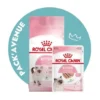 Pack'Avenue Royal Canin CAT KITTEN 10KG Avec Mousse En Sachet Repas