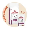 Pack'Avenue Royal Canin Dog Renal Small Dog 3,5kg Avec 12 Sachets Repas émincé