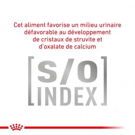 ROYAL CANIN Cat Gastro Intestinal Moderate Calorie Sachet Repas 4 ROYAL CANIN Cat Gastro Intestinal Moderate Calorie Sachet Repas – Image 4