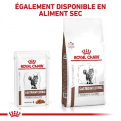 ROYAL CANIN Cat Gastro Intestinal Moderate Calorie Sachet Repas 16 ROYAL CANIN Cat Gastro Intestinal Moderate Calorie Sachet Repas -Materiel Soldes royal canin cat gastro intestinal moderate calorie sachet repas 6