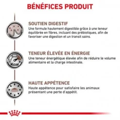 ROYAL CANIN Cat Gastro Intestinal Sachet Repas -Materiel Soldes royal canin cat gastro intestinal sachet repas 2