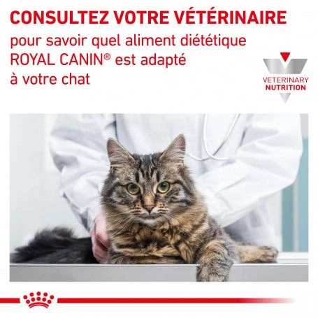 ROYAL CANIN Cat Hepatic 8 ROYAL CANIN Cat Hepatic – Image 8