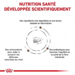ROYAL CANIN Dog Gastro Intestinal Puppy 11 ROYAL CANIN Dog Gastro Intestinal Puppy -Materiel Soldes royal canin dog gastro intestinal puppy 2