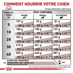 ROYAL CANIN Dog Hepatic 13 ROYAL CANIN Dog Hepatic -Materiel Soldes royal canin dog hepatic 4